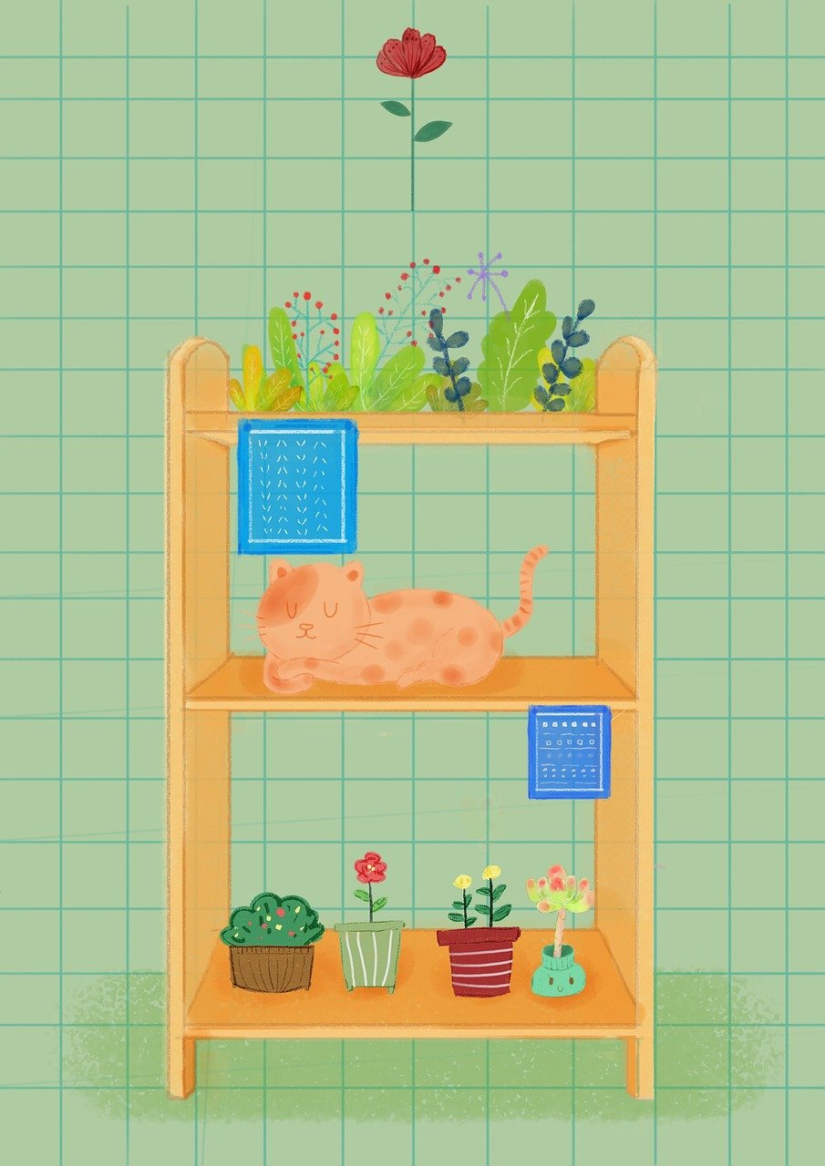 新时代儿童阅读教育新模式,绘本课堂最新动态探索