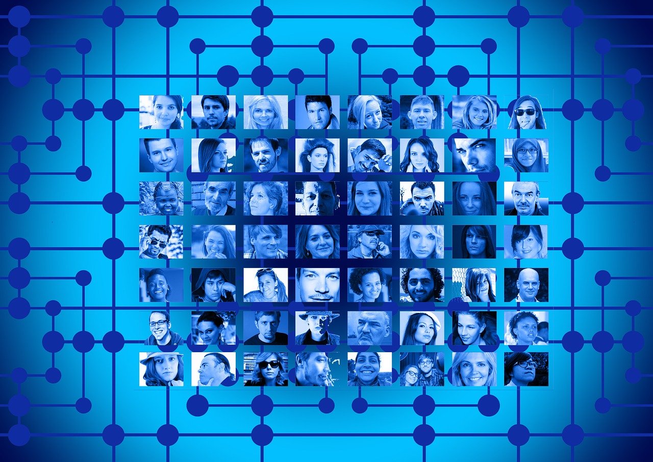 花生最新价格及动态分析概览