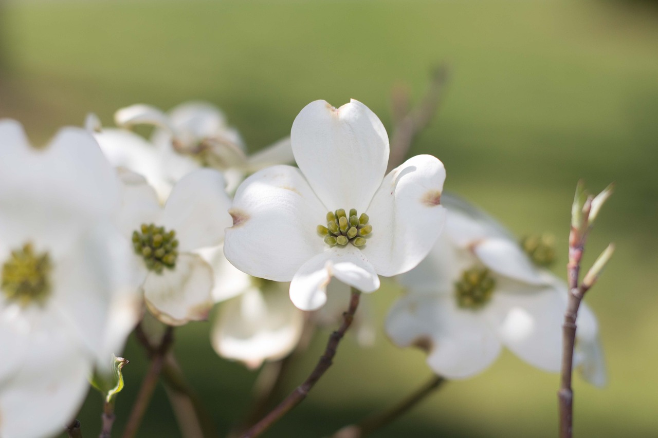 方一诺最新动态，闪耀之星的新征程