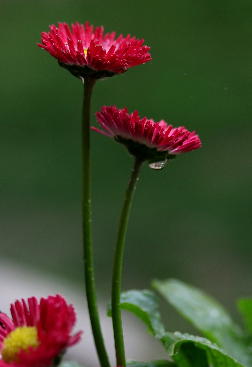 多多最新诗歌，探索心灵深处的诗意之美