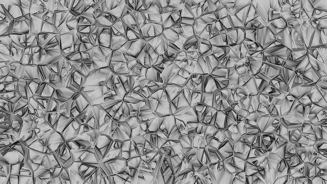 金老湿最新动态，探索前沿，引领时代潮流新趋势