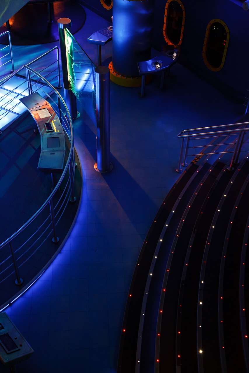 探索未来商业领袖之路，最新路百胜引领未知之旅