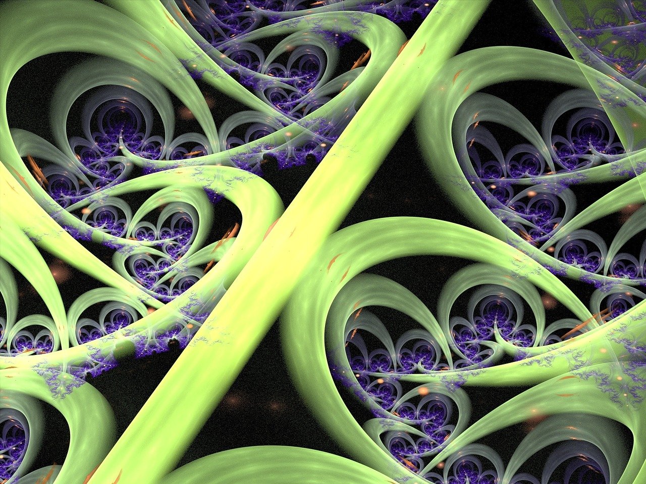 飞扬最新动态，迈向未来的步伐与洞察揭秘