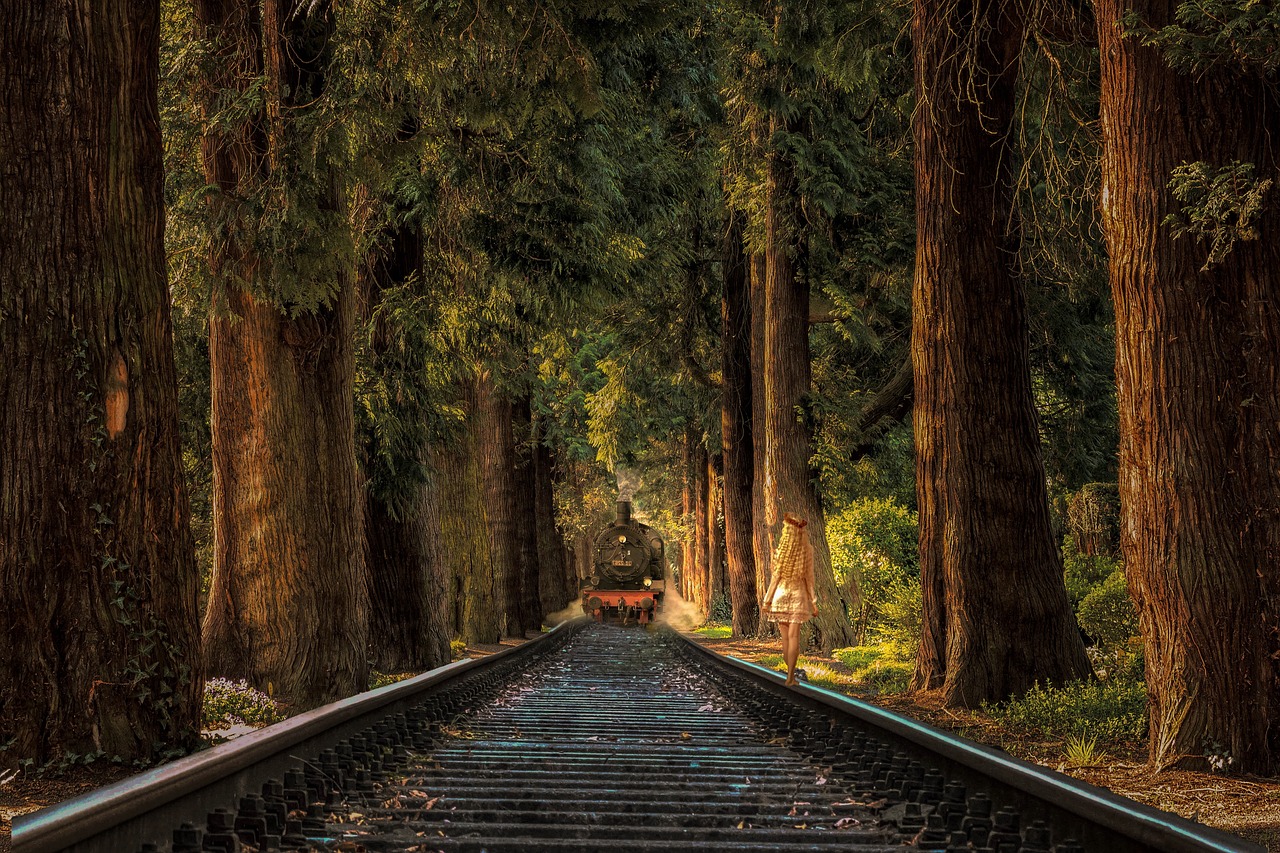 湖北暴雨最新图片,揭示暴雨背后的故事
