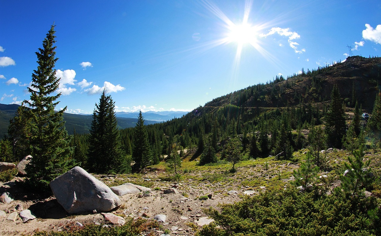 邵珮诗最新动态，艺术之旅的无尽探索