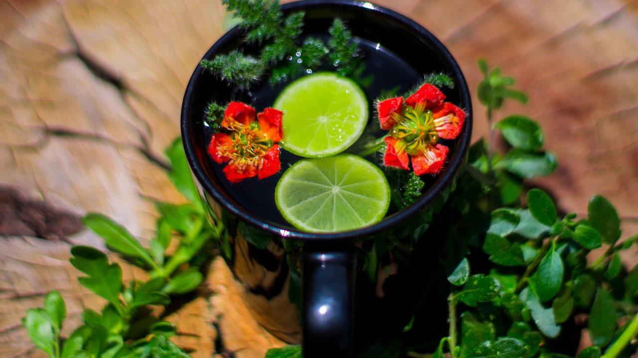 斯黛拉最新动态，引领时尚潮流的新篇章