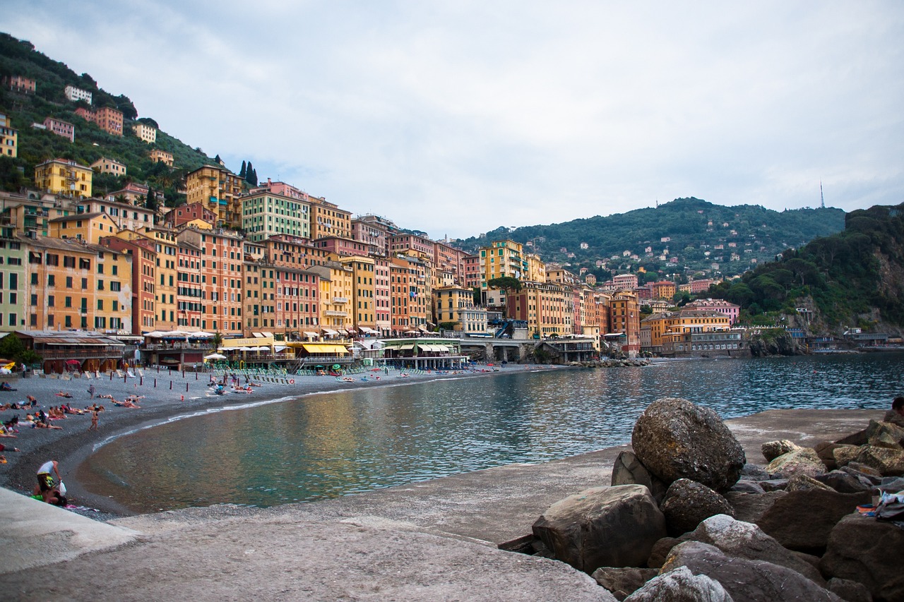 晋煤最新价格及动态分析概述