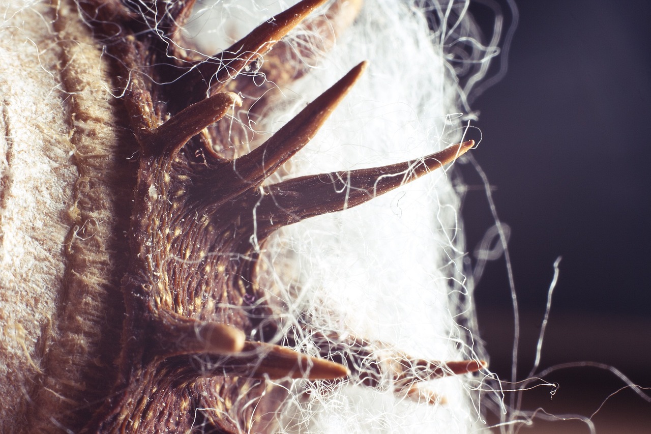 仙宏途最新探索进展，揭开神秘面纱，无限可能展现