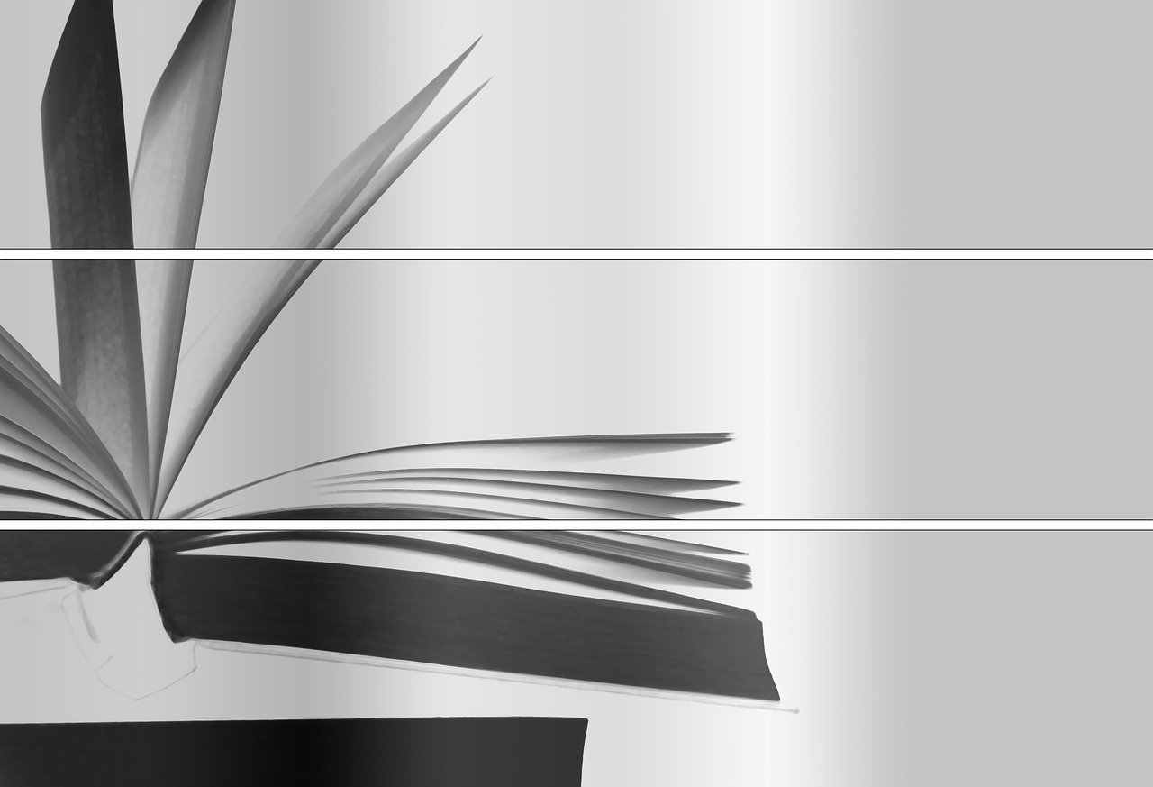 香港最新动态，繁荣发展的新时代脉搏