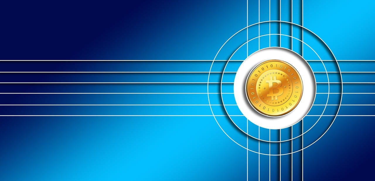 欲钱最新报道深度解析，货币市场最新动态全面剖析