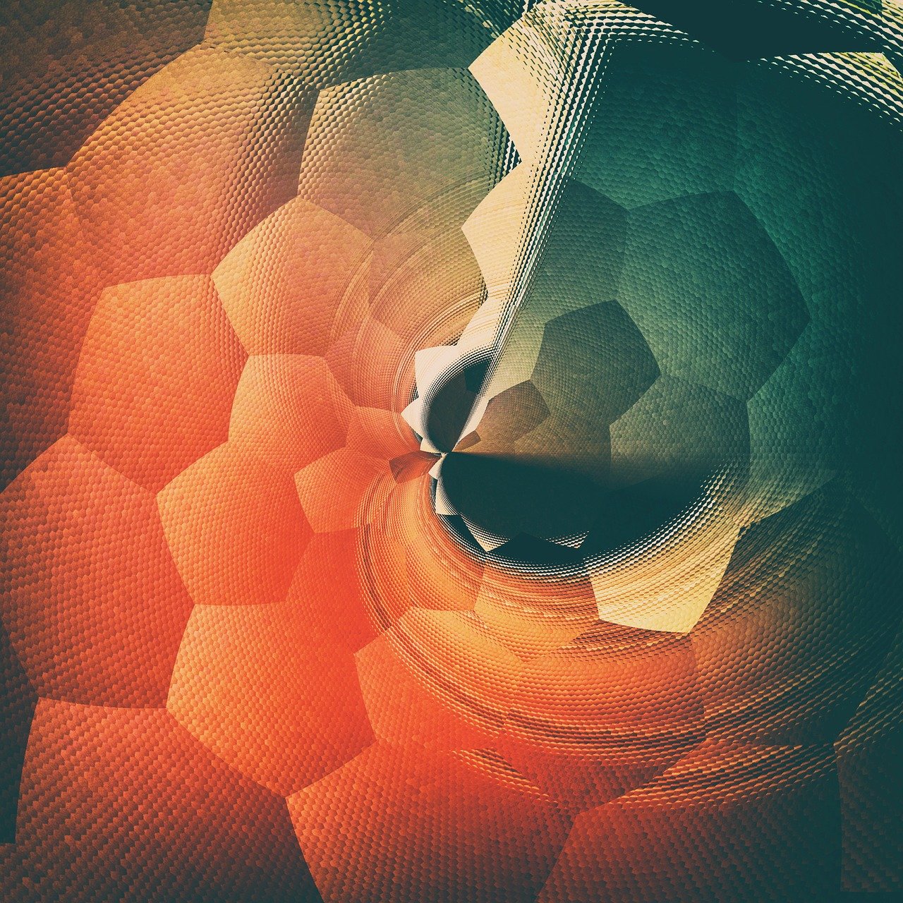 新时代网络图像共享，网图群最新动态探索