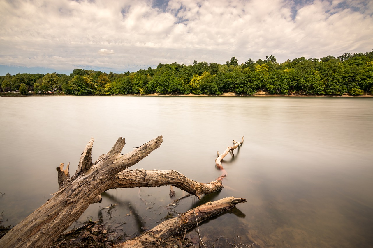 七步夏末 第24页
