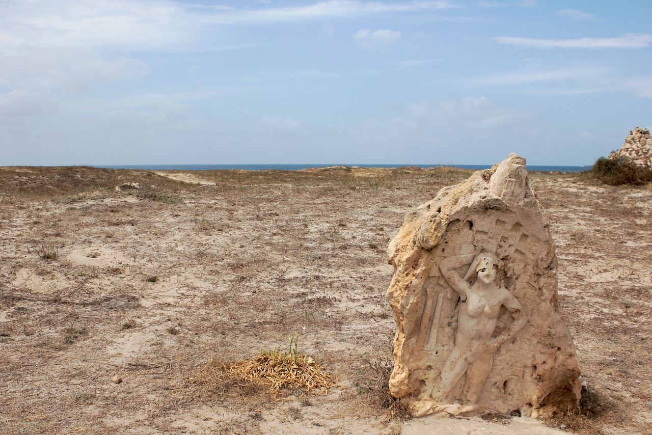 哥伦布最新动态，探索与发现的传承不止步
