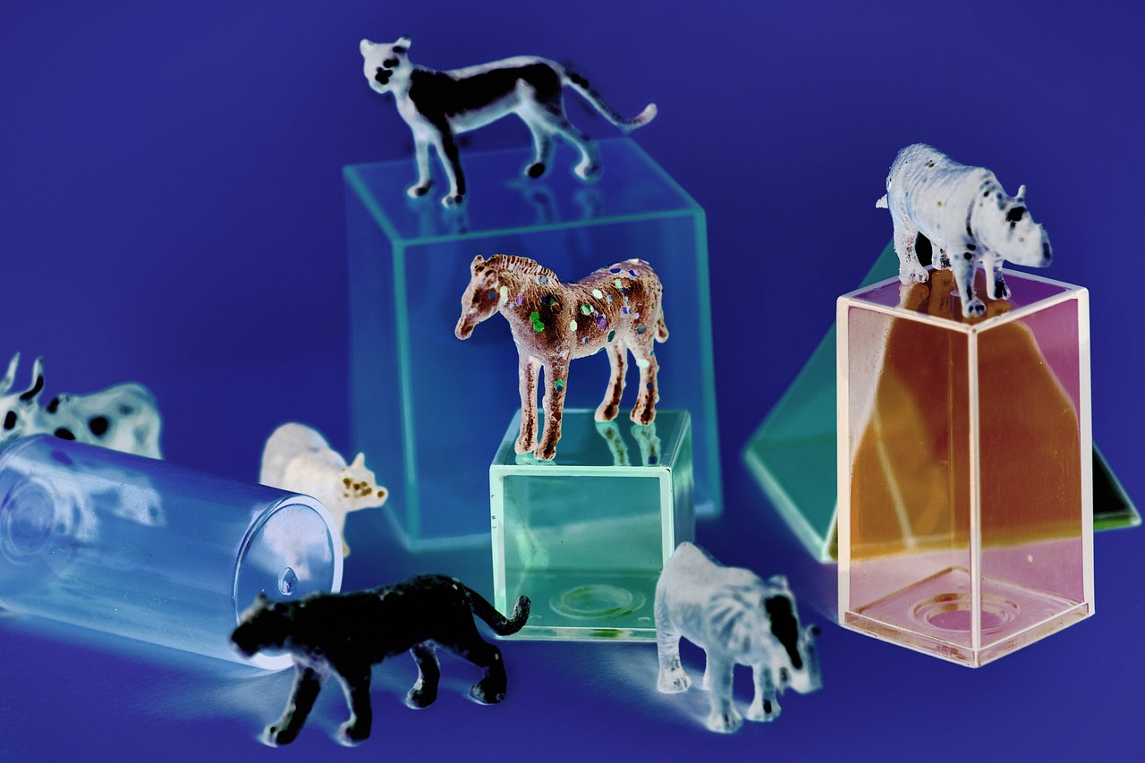 最新娜美玩具，潮流引领者的时尚之选