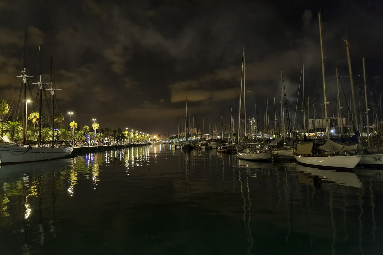 胡一菲最新动态，照亮娱乐圈的新篇章，光芒四射引人瞩目