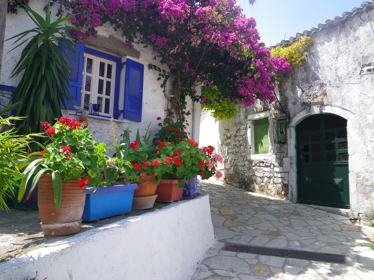 五庄最新改造重塑生态，焕发新活力