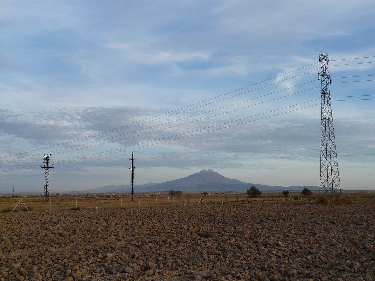 张墨谦的最新动态与成就概览