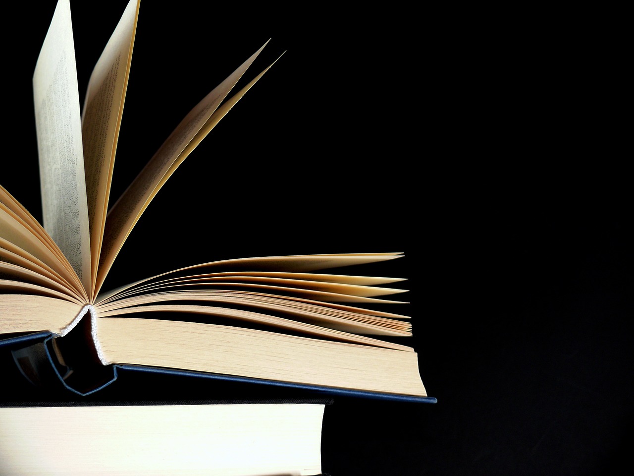 今日怡情最新数据揭秘,探索怡情新动态与发展趋势