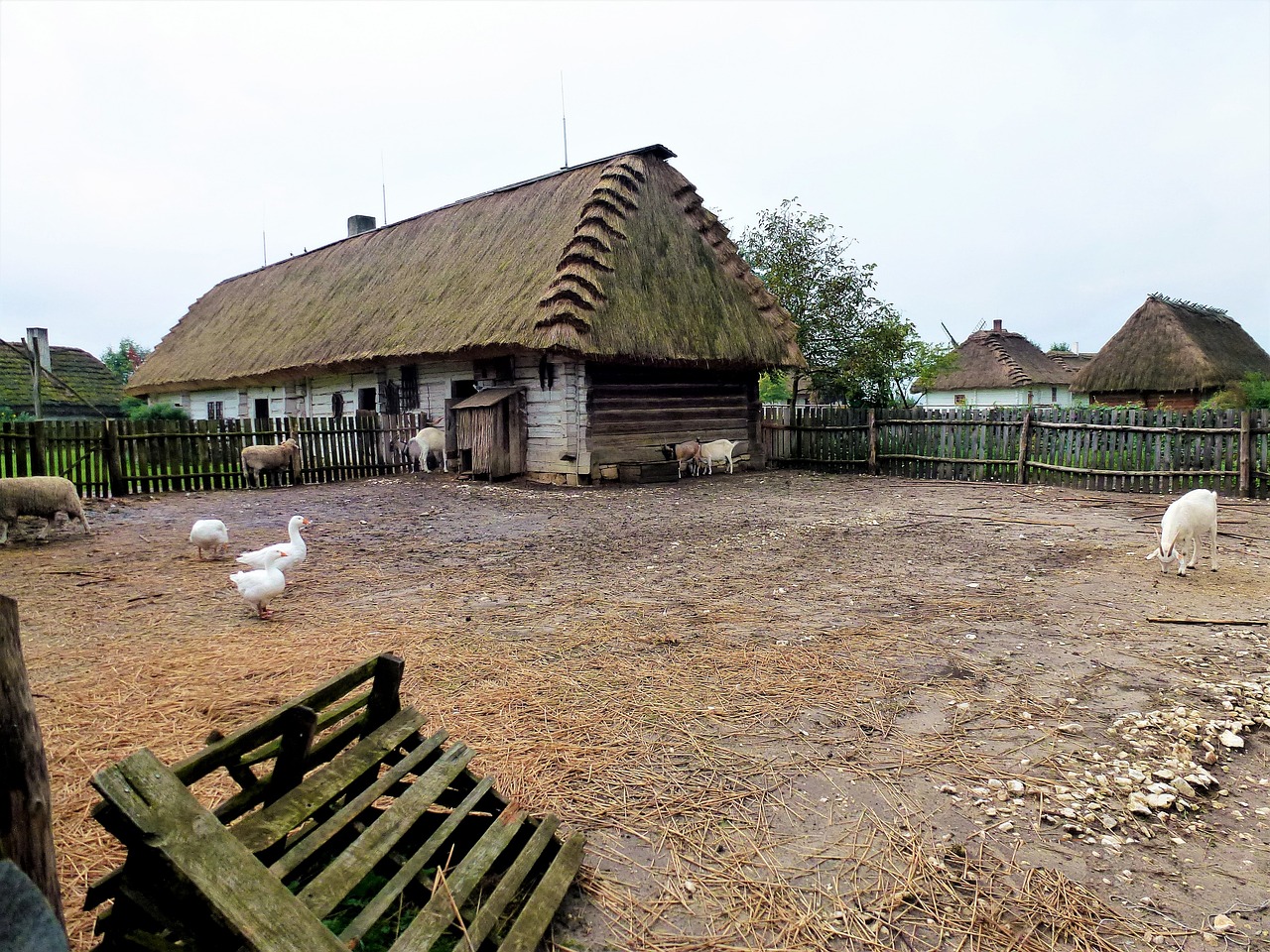 农村拆迁，挑战与机遇并存的新动态