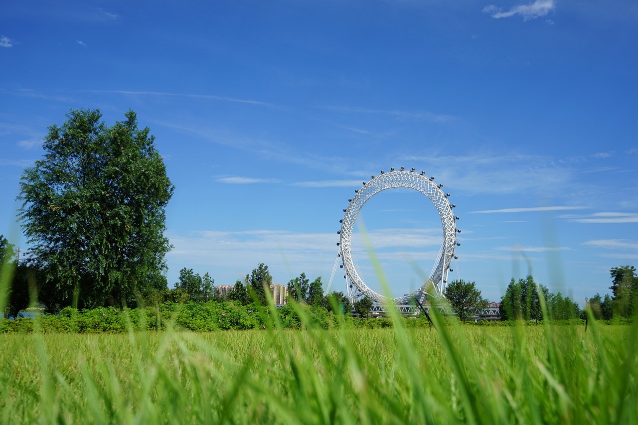 潍坊最新动态，城市新动向与发展蓝图揭秘