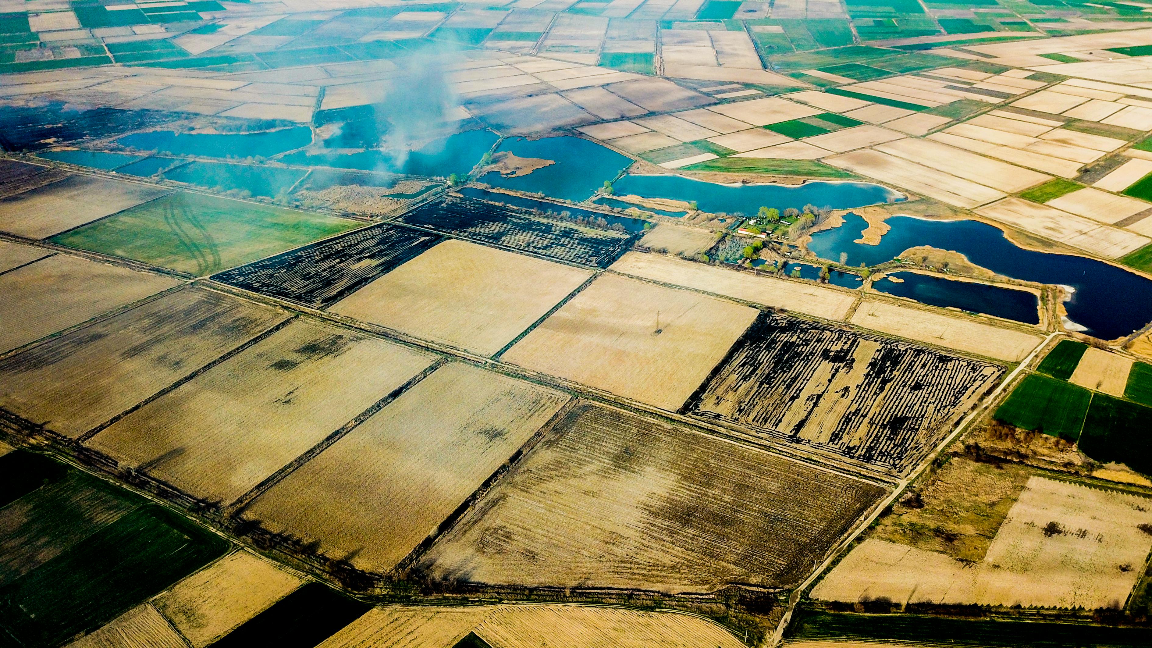 今晚特马开27号，LX92.92.39：森林科学前沿探索