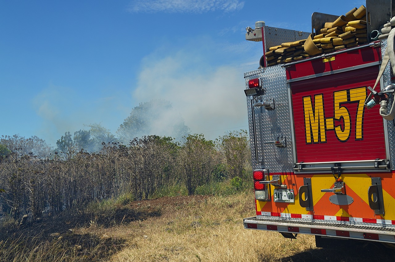 祖山火情最新动态,应对挑战,守护绿色家园