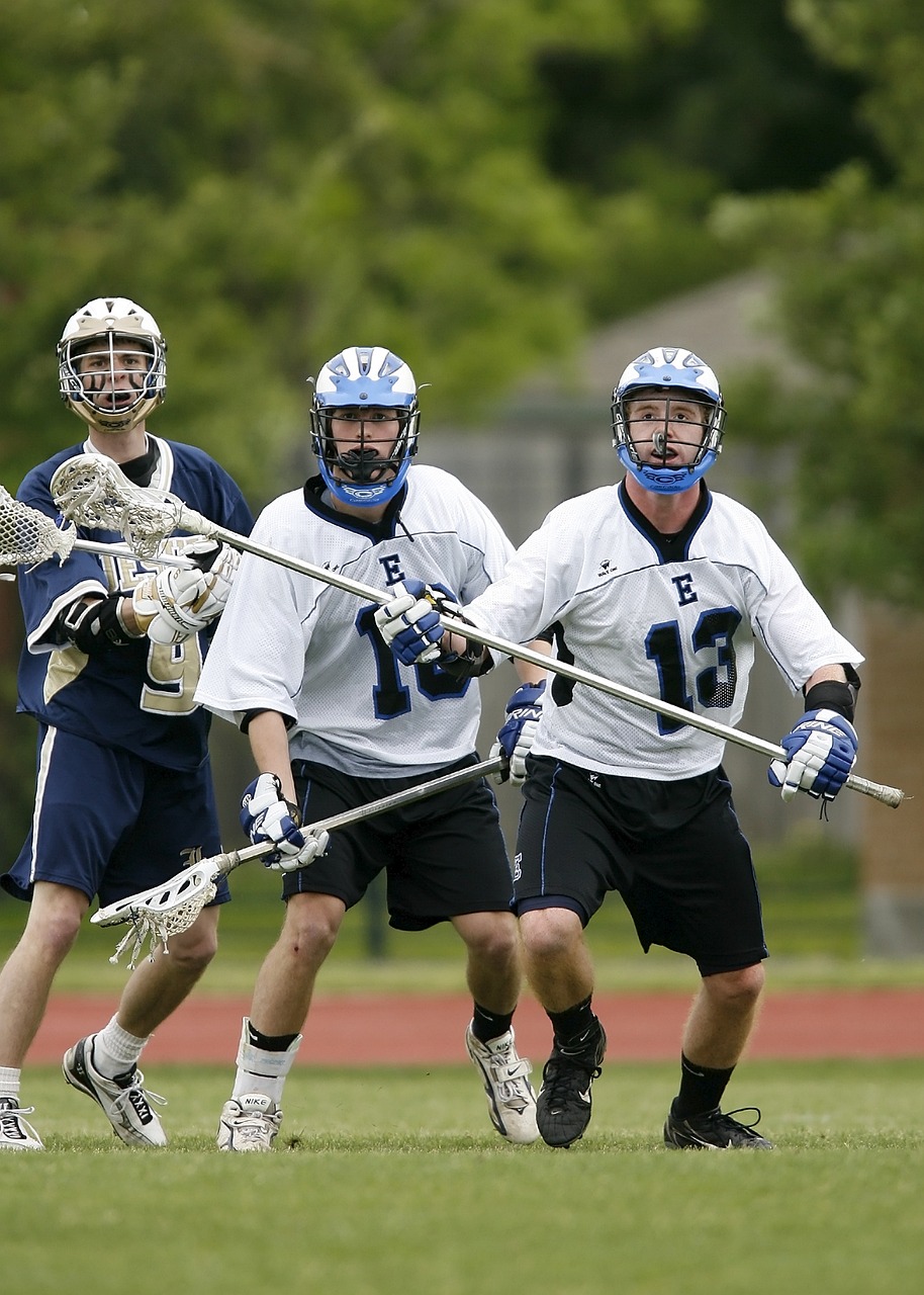 祖山火情最新动态，应对挑战，守护绿色家园