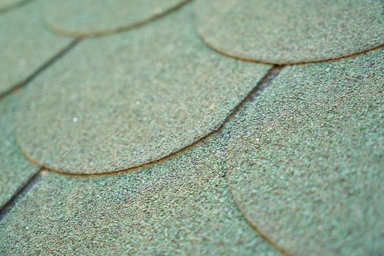 祖山火情最新动态,应对挑战,守护绿色家园