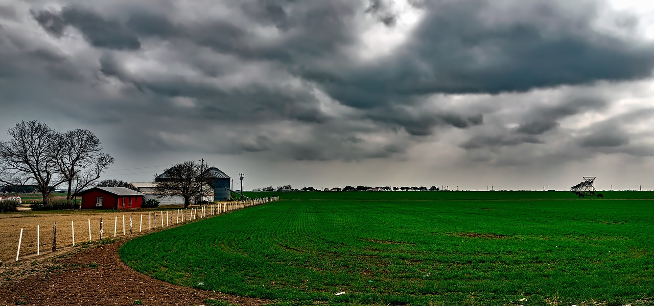黑霸王牛王最新动态,引领现代农业科技发展的先锋力量