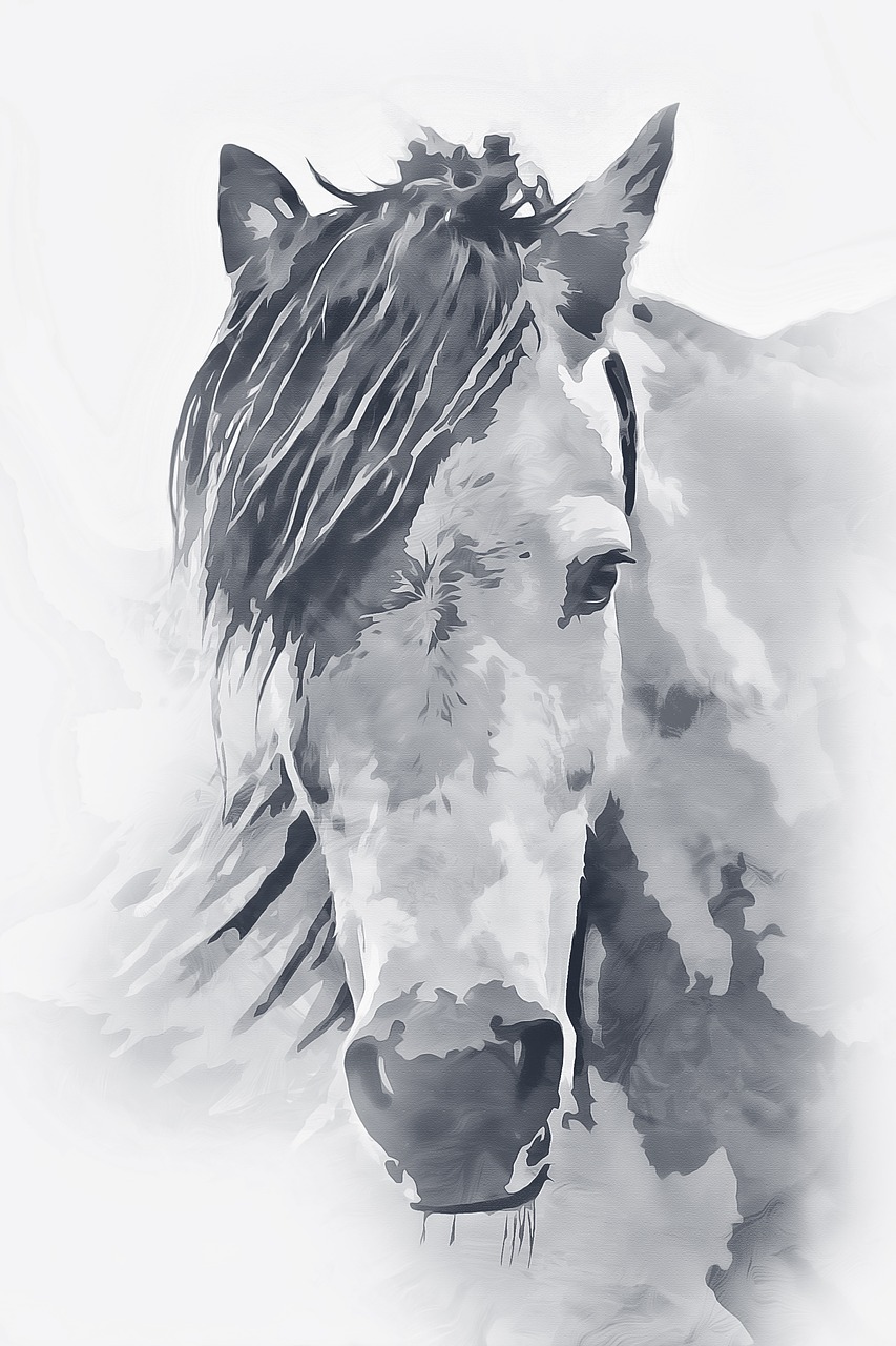 田村卡最新动态,引领乡村数字化新潮趋势