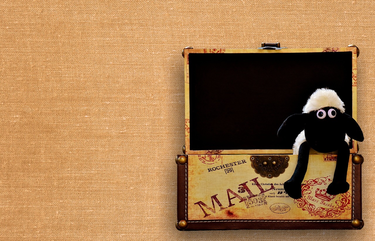 引领未来趋势的洞察与分析,最新型报告揭秘发展动态