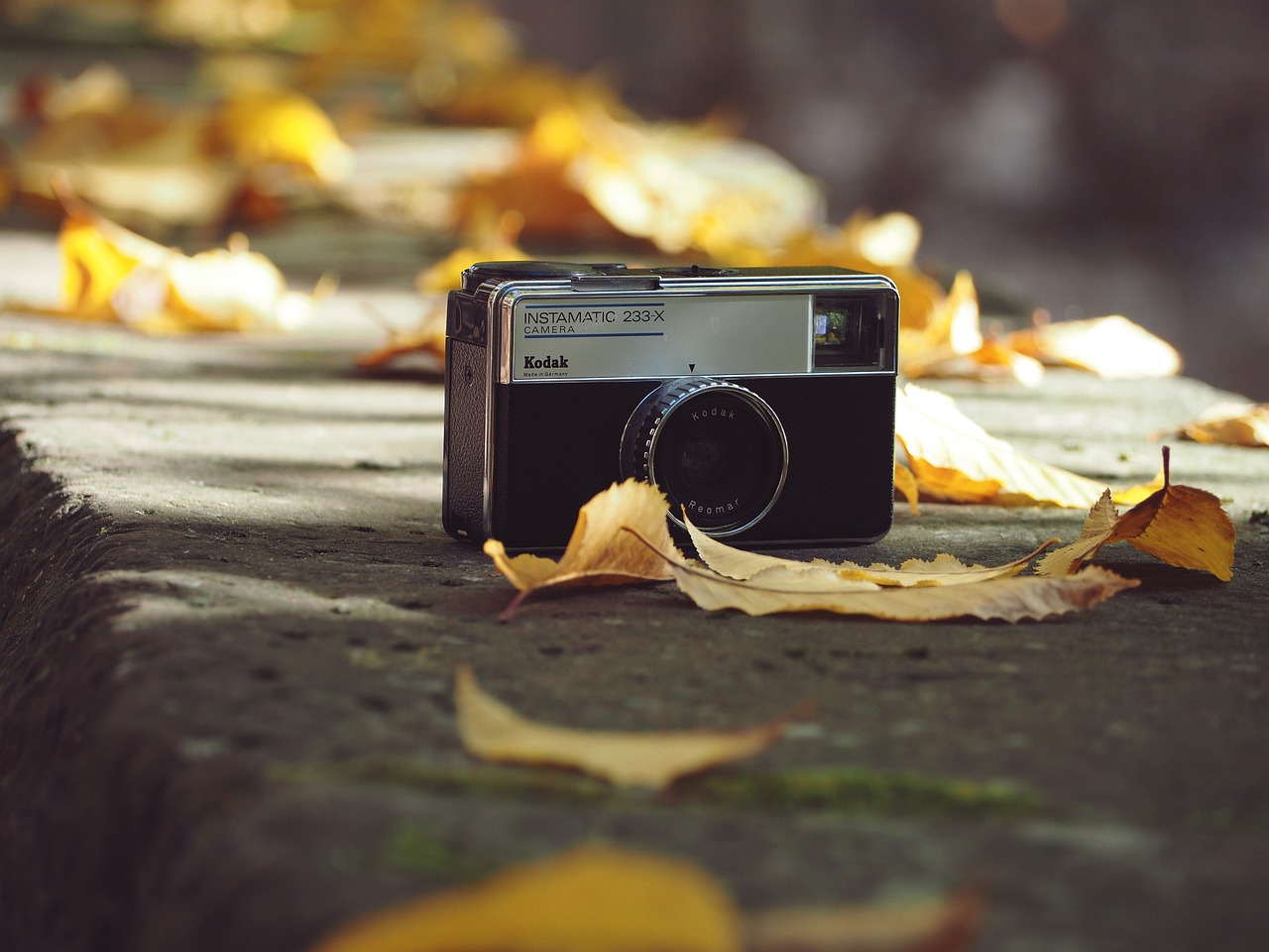 最新情头头像流行趋势，探索个性魅力的风尚之选