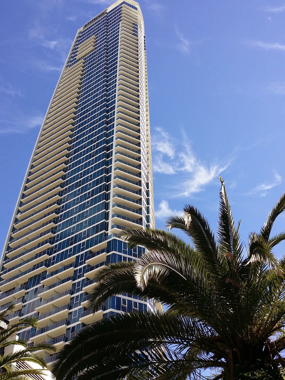 探索最新东京网站,现代都市的脉搏与魅力