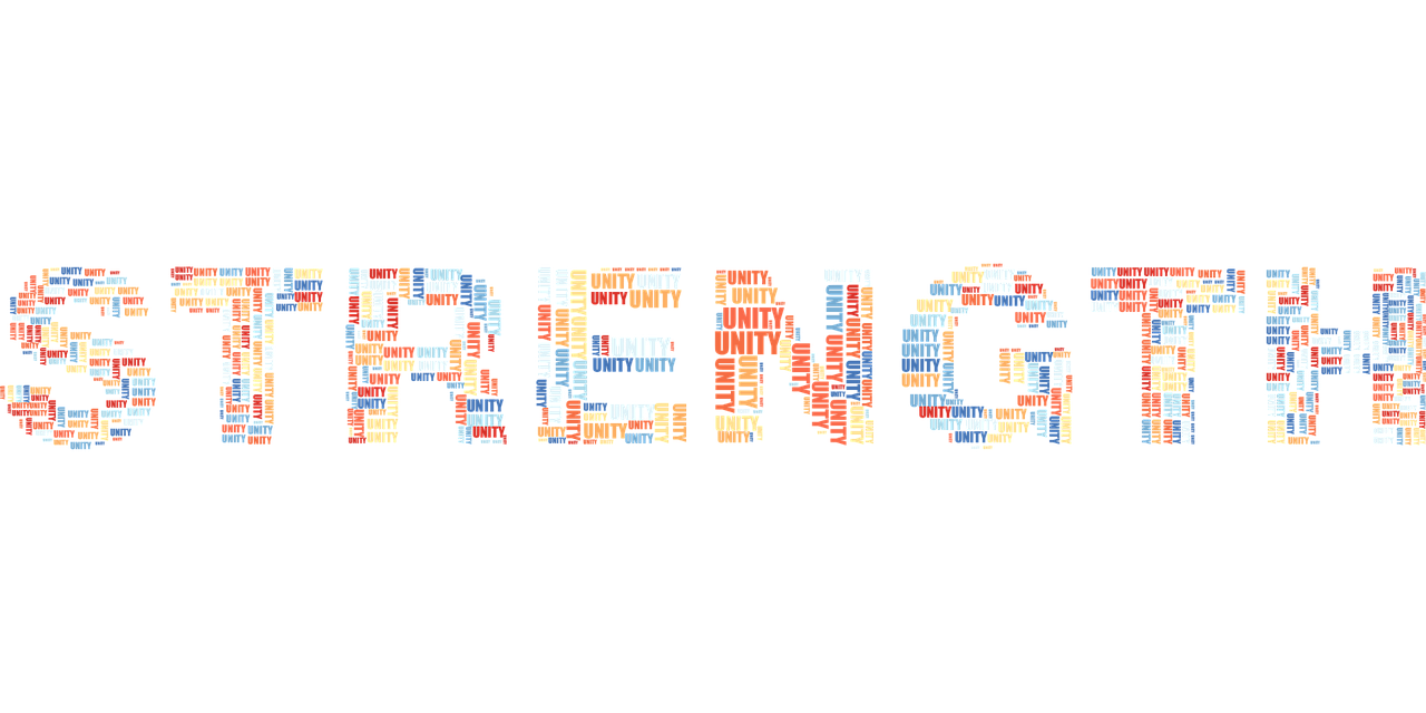 熊猫日记最新更新，自然与文化交融之美探索