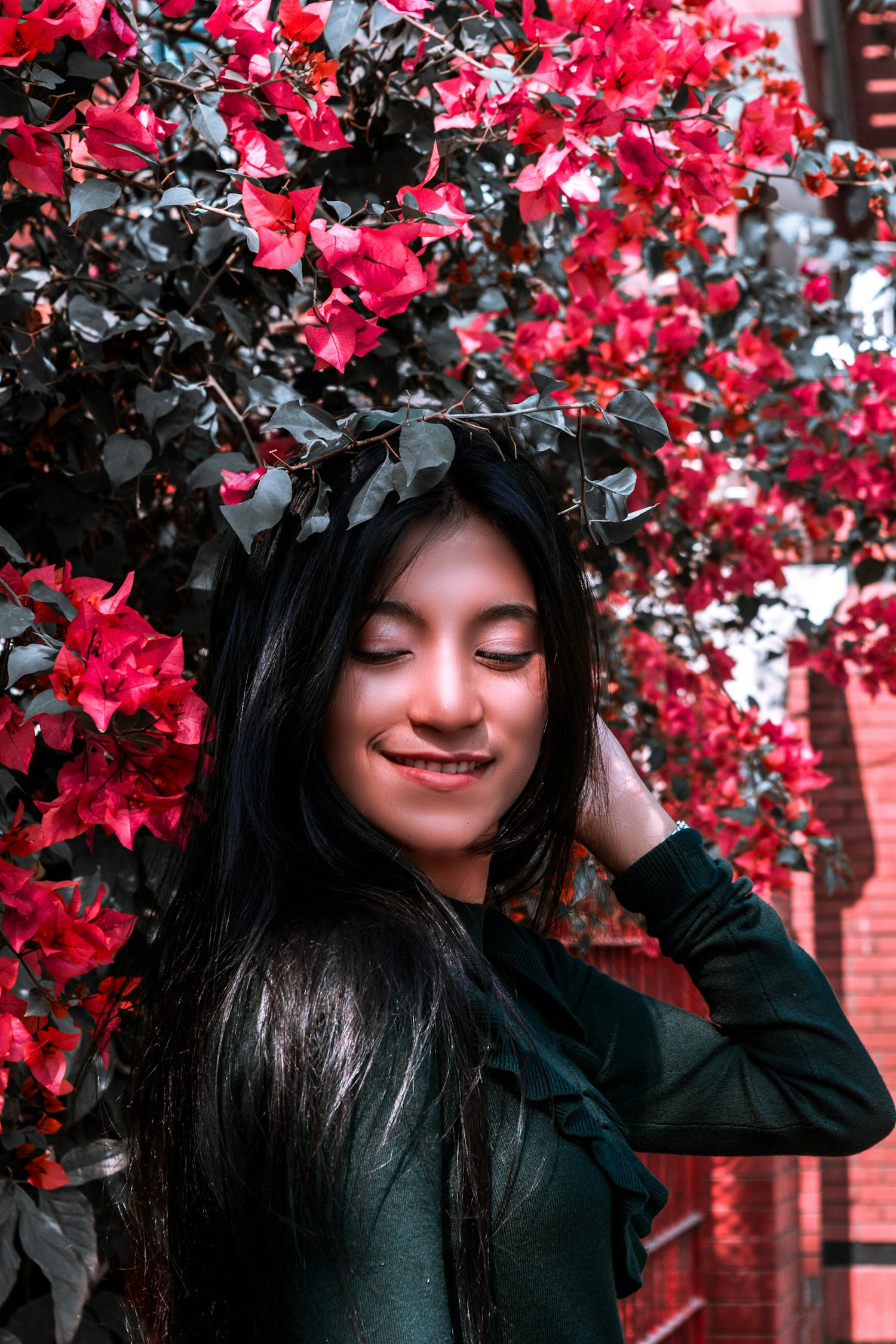 桃花最新版,绽放的美丽与时尚潮流的魅力展现