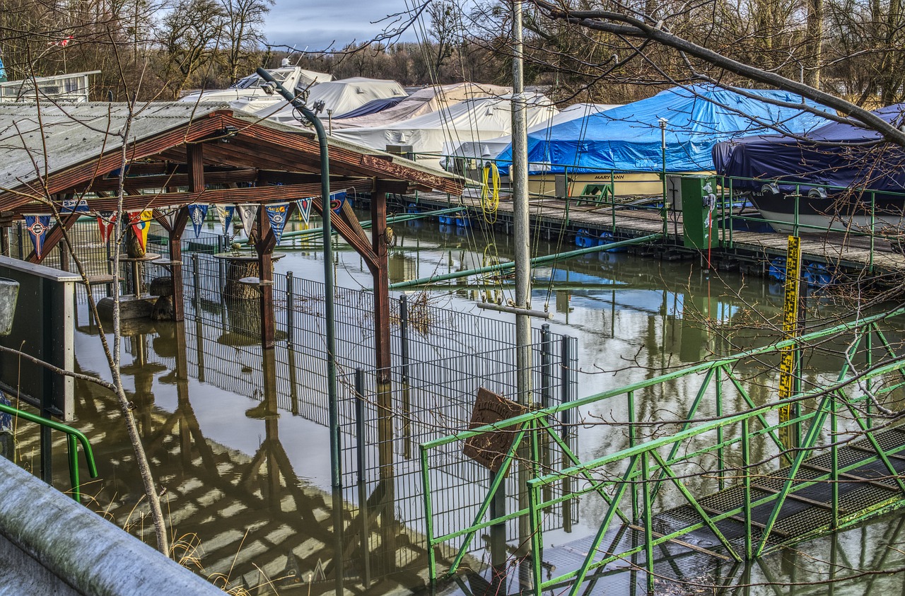 柴桑区最新发展动态概览