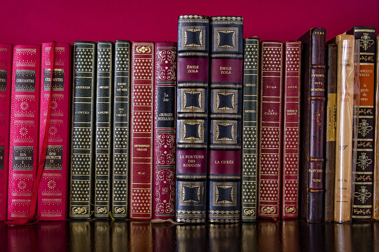 宗萨最新书,探索智慧之源的新篇章