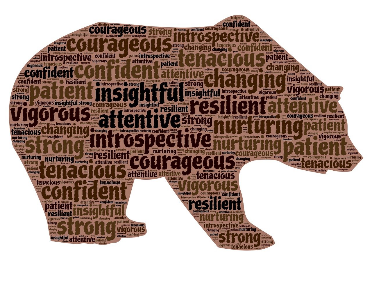 揭秘神秘力量背后的故事，鬼六团最新动态速递