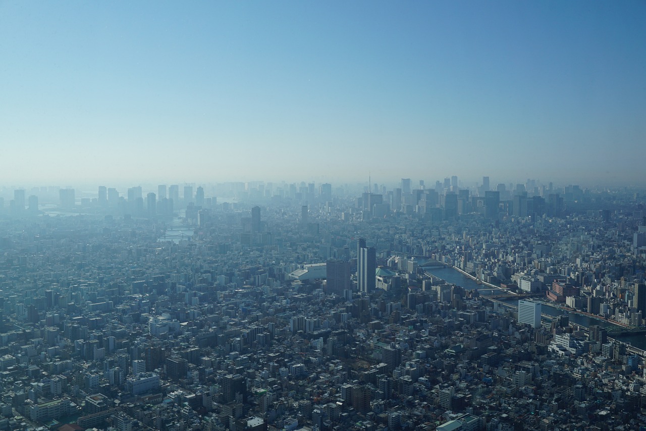 岳最新疫情动态，全面应对与防控的挑战与机遇