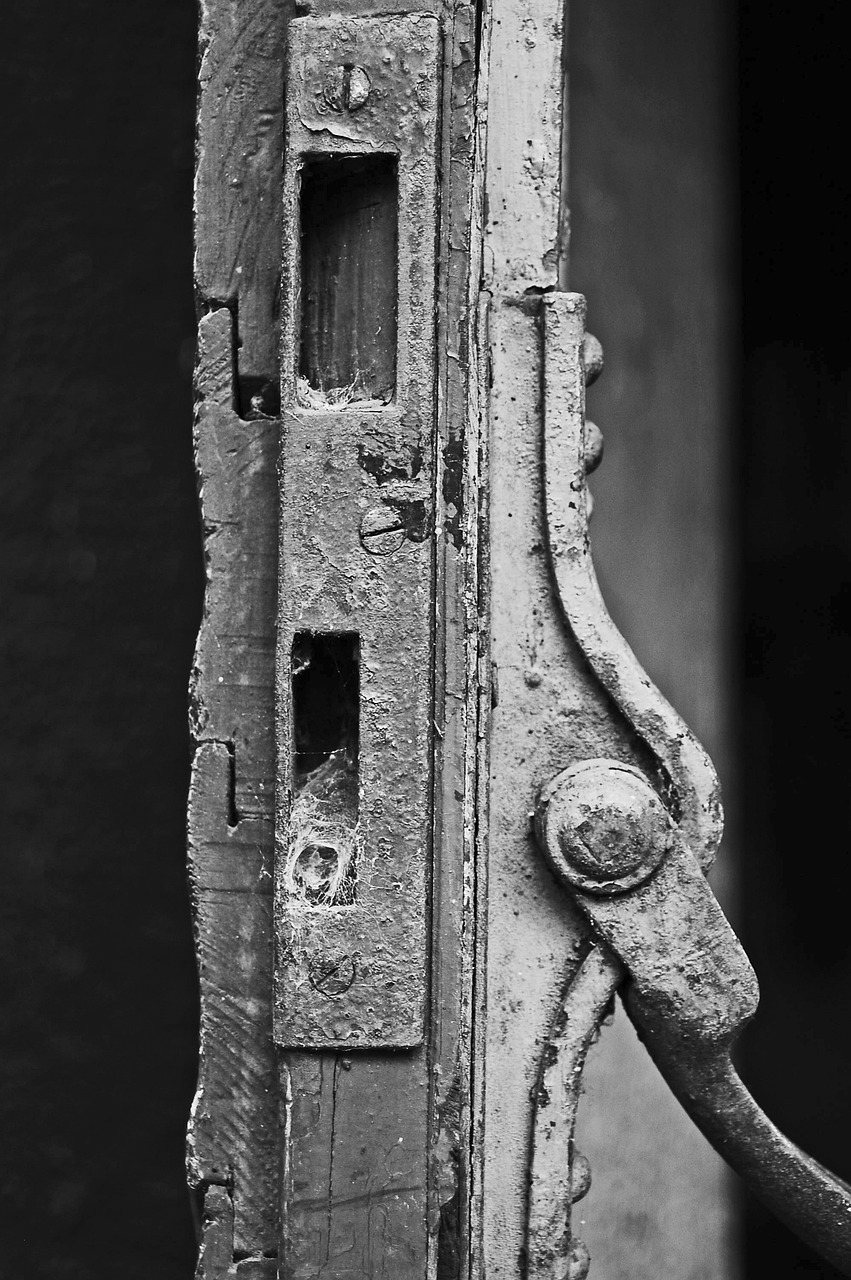 小阁老最新图探索与赏析之旅