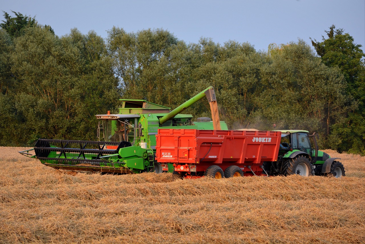 最新农村信息速递，揭示乡村发展的新时代风采