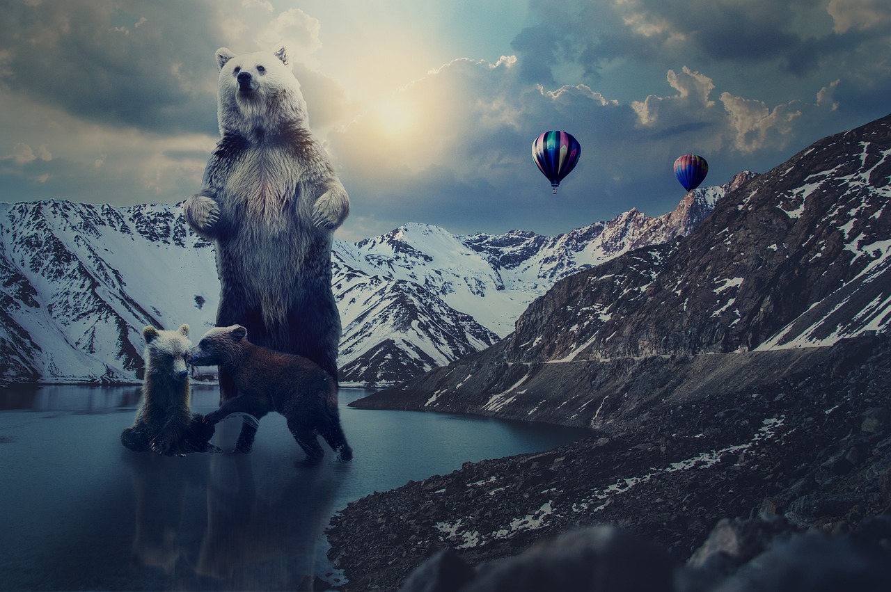 高清免费最新在线,开启数字娱乐新纪元探索之旅