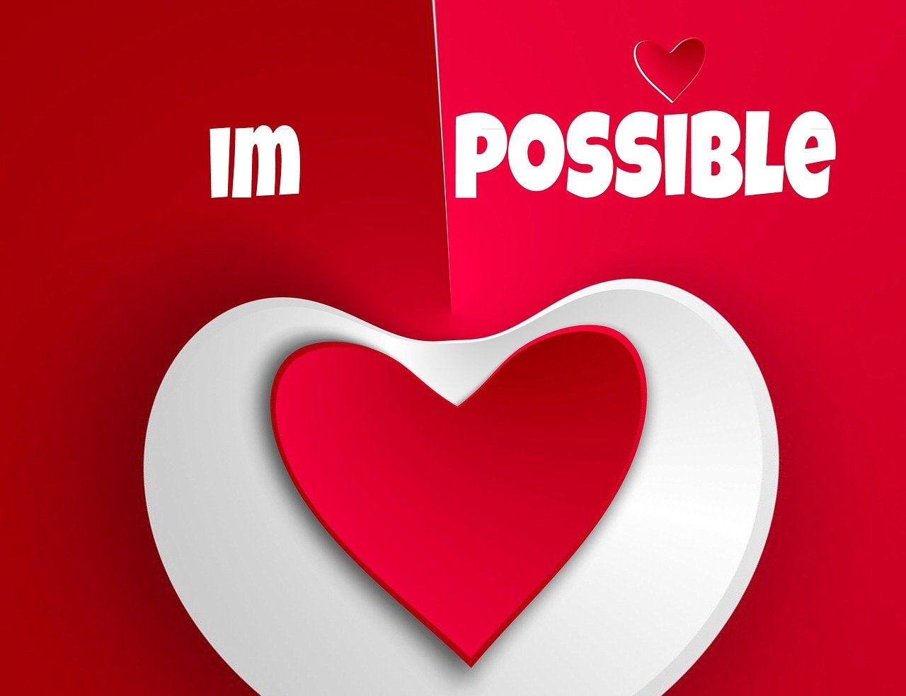 猛龙最新预测分析，未来走向与前景展望展望