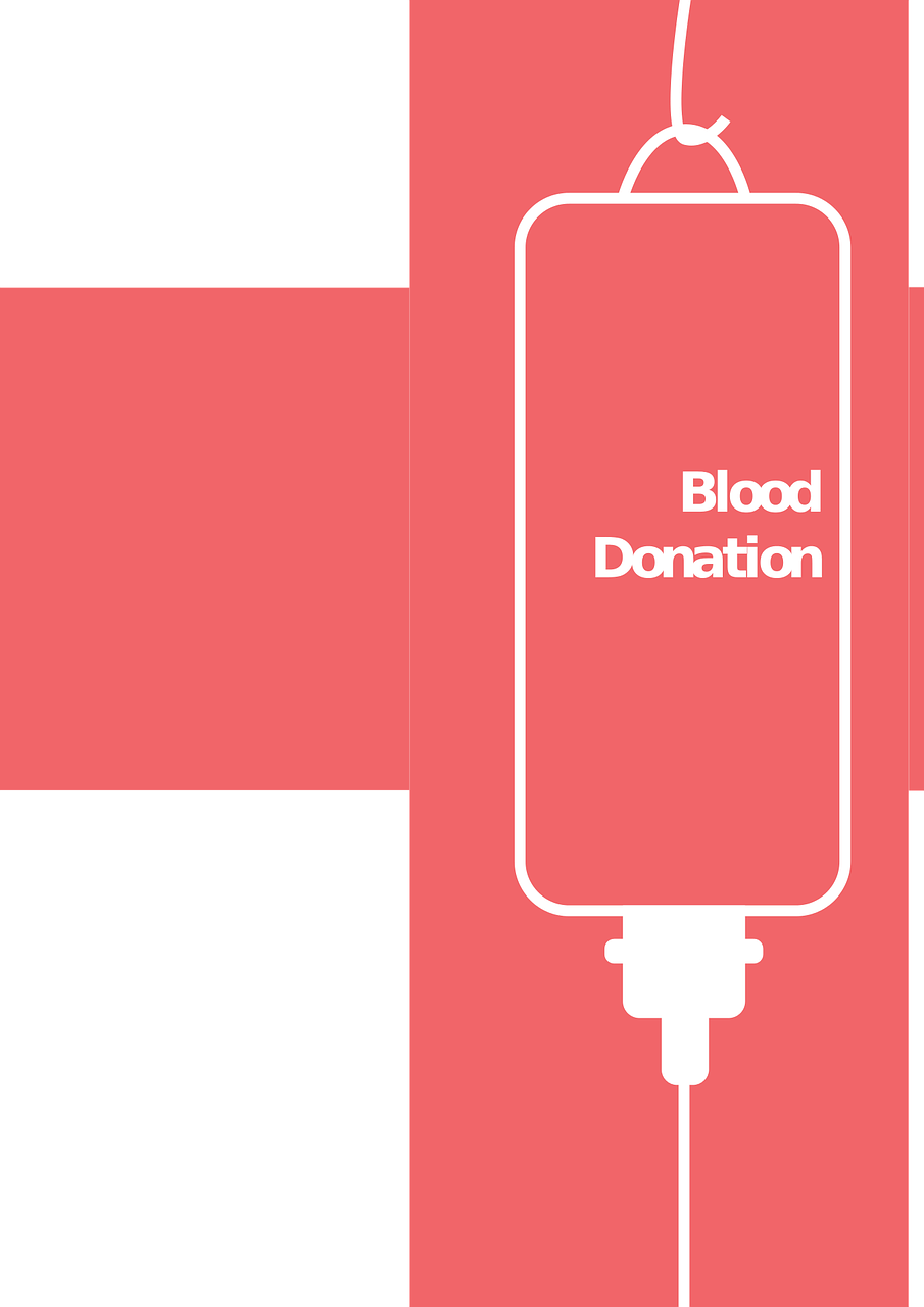 雪后初暖阳 第21页