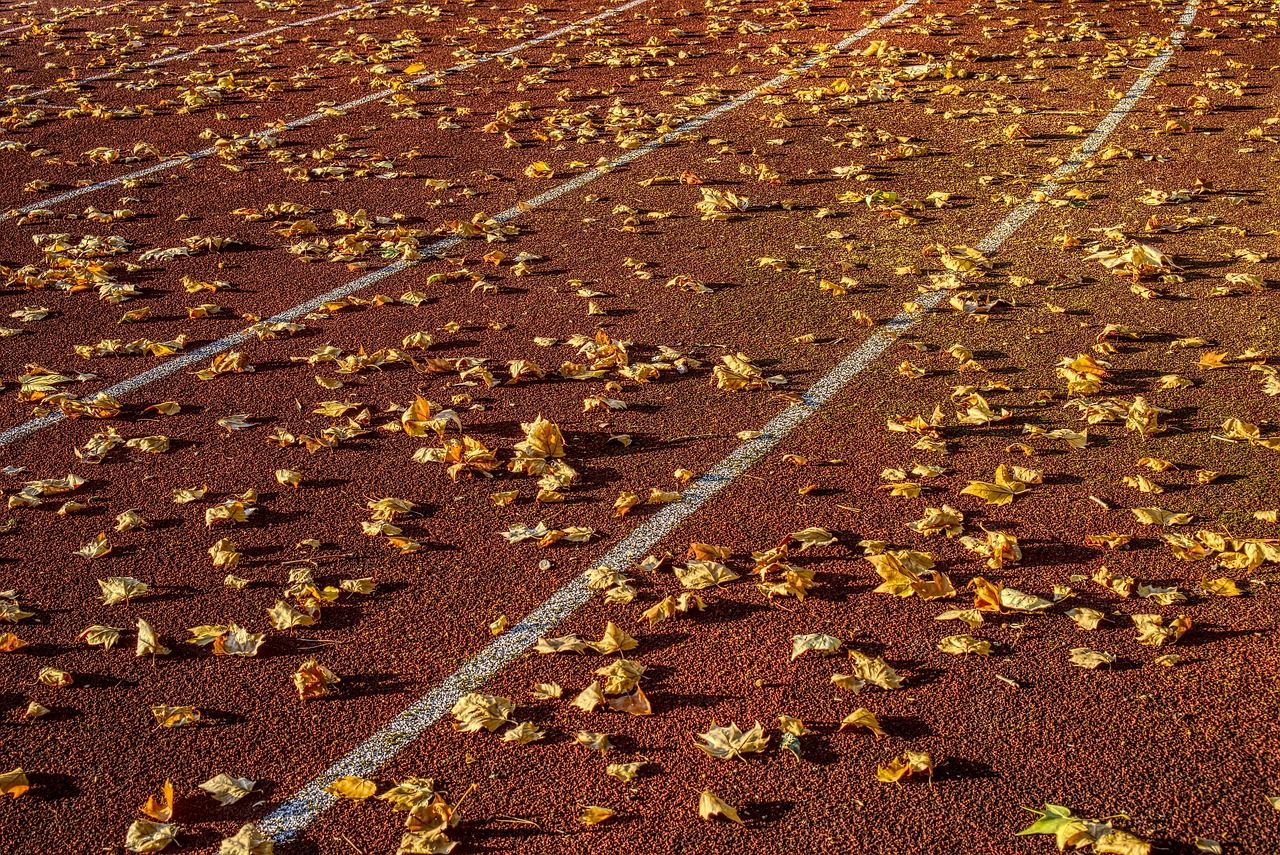 和顺地区最新事件概览,最新动态与进展速览