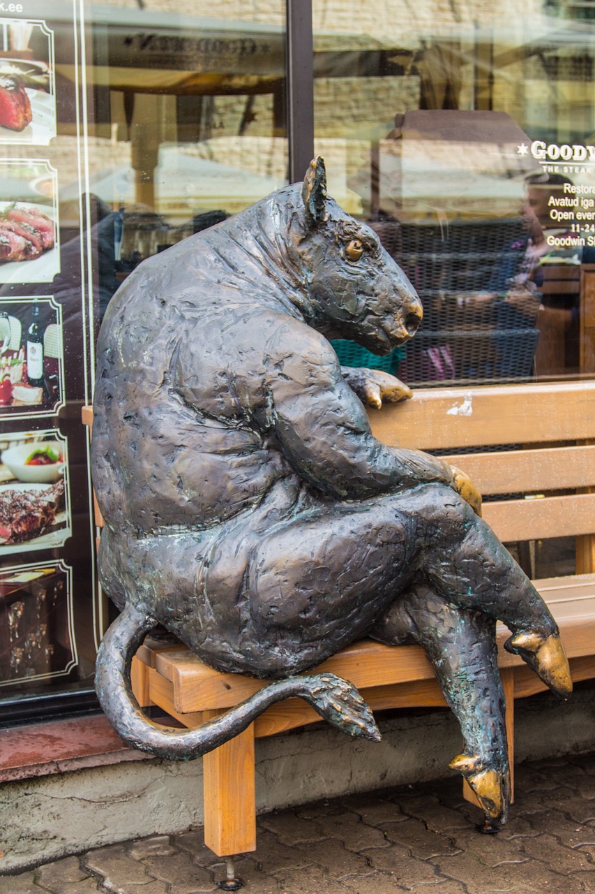 澳门精准铁算算盘4887:本期推荐狗、牛、猪、龙