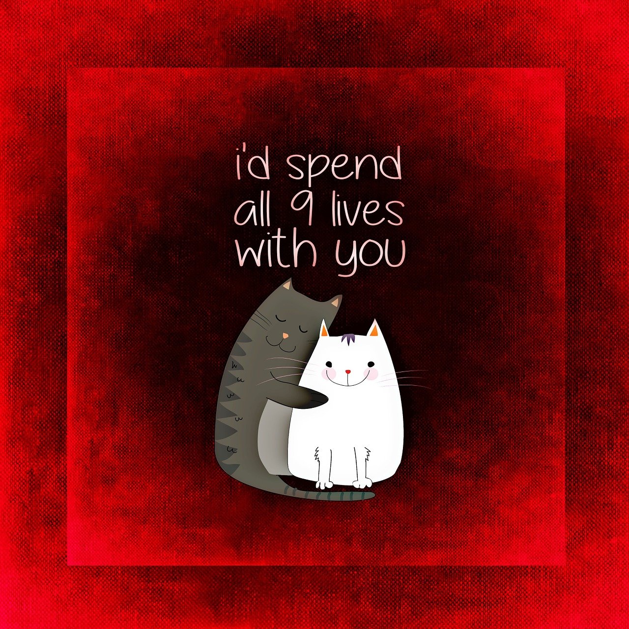 最新现代情感本,探索现代恋爱故事的心灵深处之旅