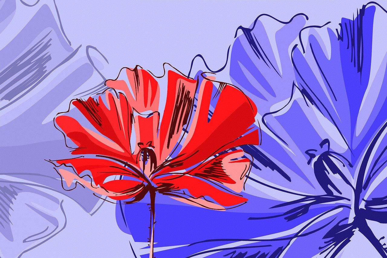 阳煤最新信息概览，最新动态与资讯汇总