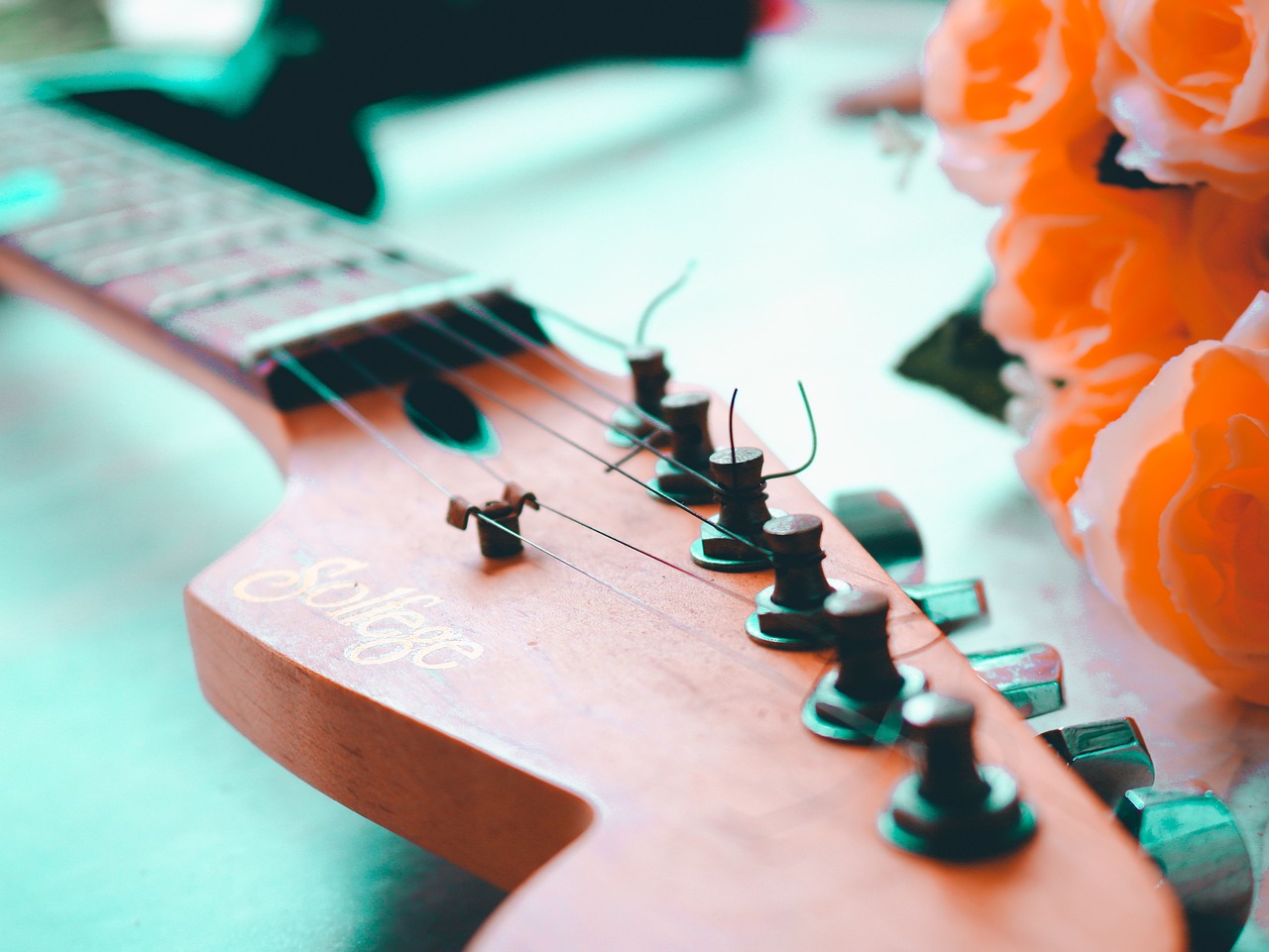 辛花路放最新动态揭秘,音乐与艺术的融合之旅探索