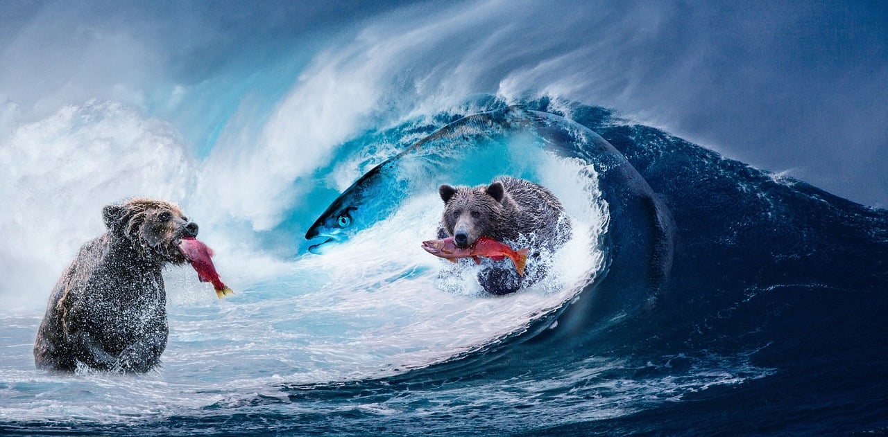 最新治愈系图片，温暖心灵的力量之美